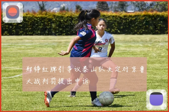 郑铮红牌引争议泰山队决定对京鲁大战判罚提出申诉