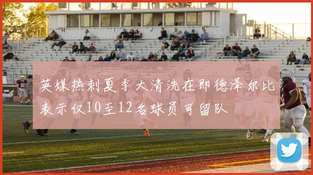 英媒热刺夏季大清洗在即德泽尔比表示仅10至12名球员可留队